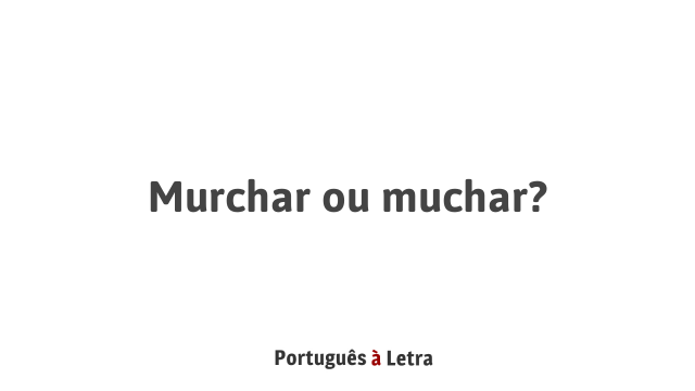 Murchar ou muchar? | Português à Letra